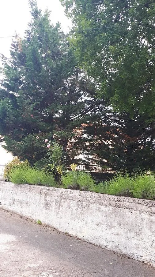 Apartman Rosemary Rijeka Croatia